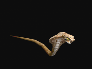 Animated cobra snake 3D Модель