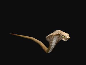 애니메이션 코브라 뱀 3D 모델