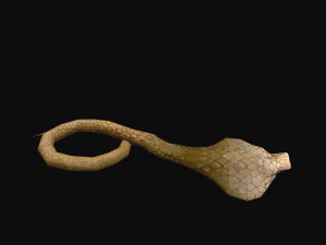 애니메이션 코브라 뱀 3D 모델