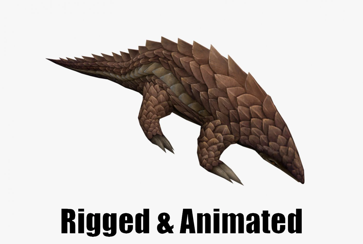 Pangolin 3D Model .c4d .max .obj .3ds .fbx .stl .blend 