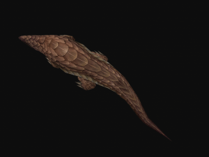 Pangolin Modèle 3D