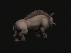 Animated boar 3D 模型