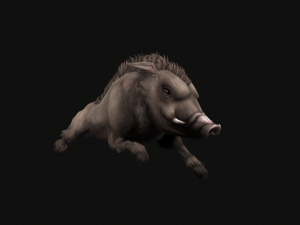Animated boar 3D 模型