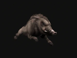 Animated boar 3D Model