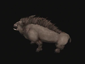 Animated boar 3D Model