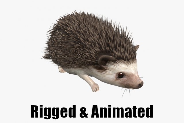 Hedgehog 3D 模型 .c4d .max .obj .3ds .fbx .stl .blend