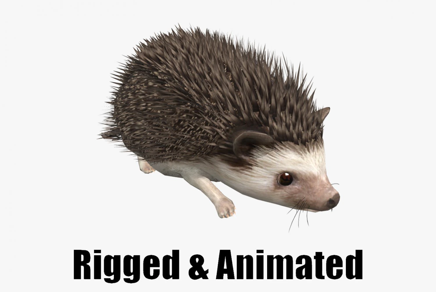 Hedgehog 3D Model .c4d .max .obj .3ds .fbx .stl .blend