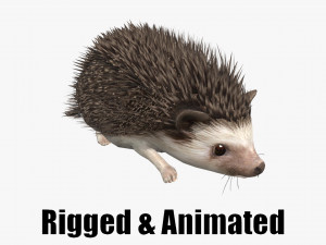 Hedgehog 3D 모델