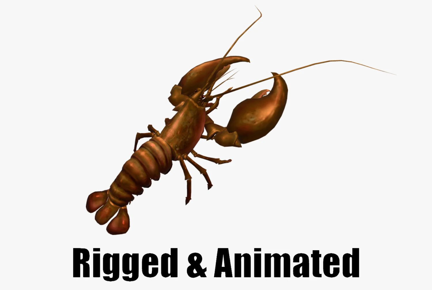Animated crayfish 3D Model .c4d .max .obj .3ds .fbx .stl .blend 