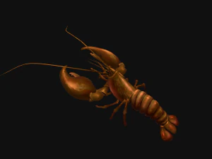 Animated crayfish 3D Model