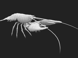 Animated crayfish 3D Model