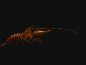 Animated crayfish 3D Model