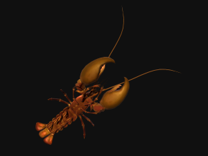 Animated crayfish 3D मॉडल