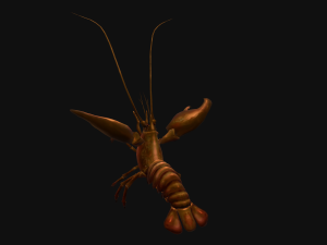 Animated crayfish 3D मॉडल