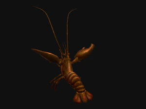 Animated crayfish 3D Model