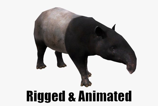 Animated Tapir 3D 모델 .c4d .max .obj .3ds .fbx .stl .blend 