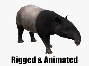 Animated Tapir 3D Model