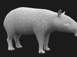 Animated Tapir 3D Model