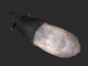 Animated Tapir 3D Model