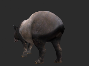 Animated Tapir 3D 모델