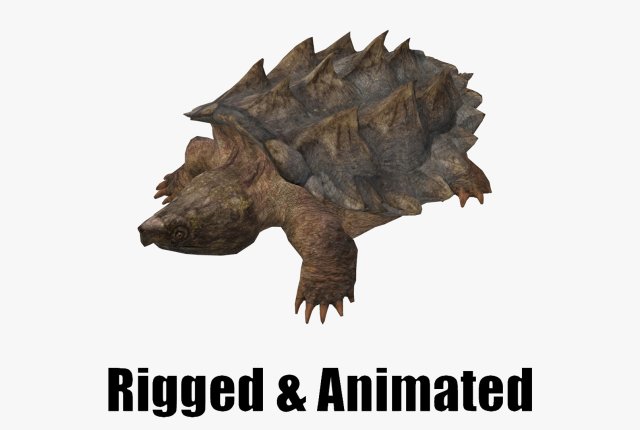 Alligator Snapping Turtle 3D Модель .c4d .max .obj .3ds .fbx .stl .blend 