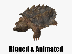 Alligator Snapping Turtle 3D Model