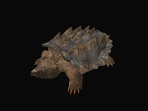 Alligator Snapping Turtle 3D Model
