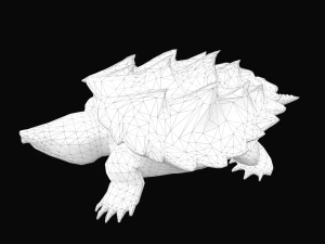 Alligator Snapping Turtle 3D Model
