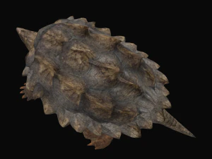 Alligator Snapping Turtle 3D Model