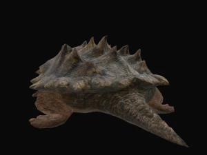 Alligator Snapping Turtle 3D Model