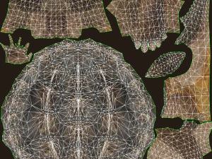 Alligator Snapping Turtle 3D Model