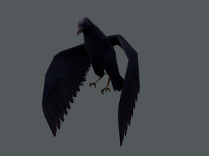 Low-poly animated crow 3D मॉडल