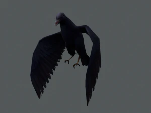 Low-poly animated crow 3D Model