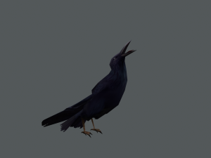 Low-poly animated crow 3D मॉडल