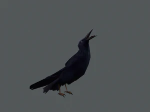 Low-poly animated crow 3D Model