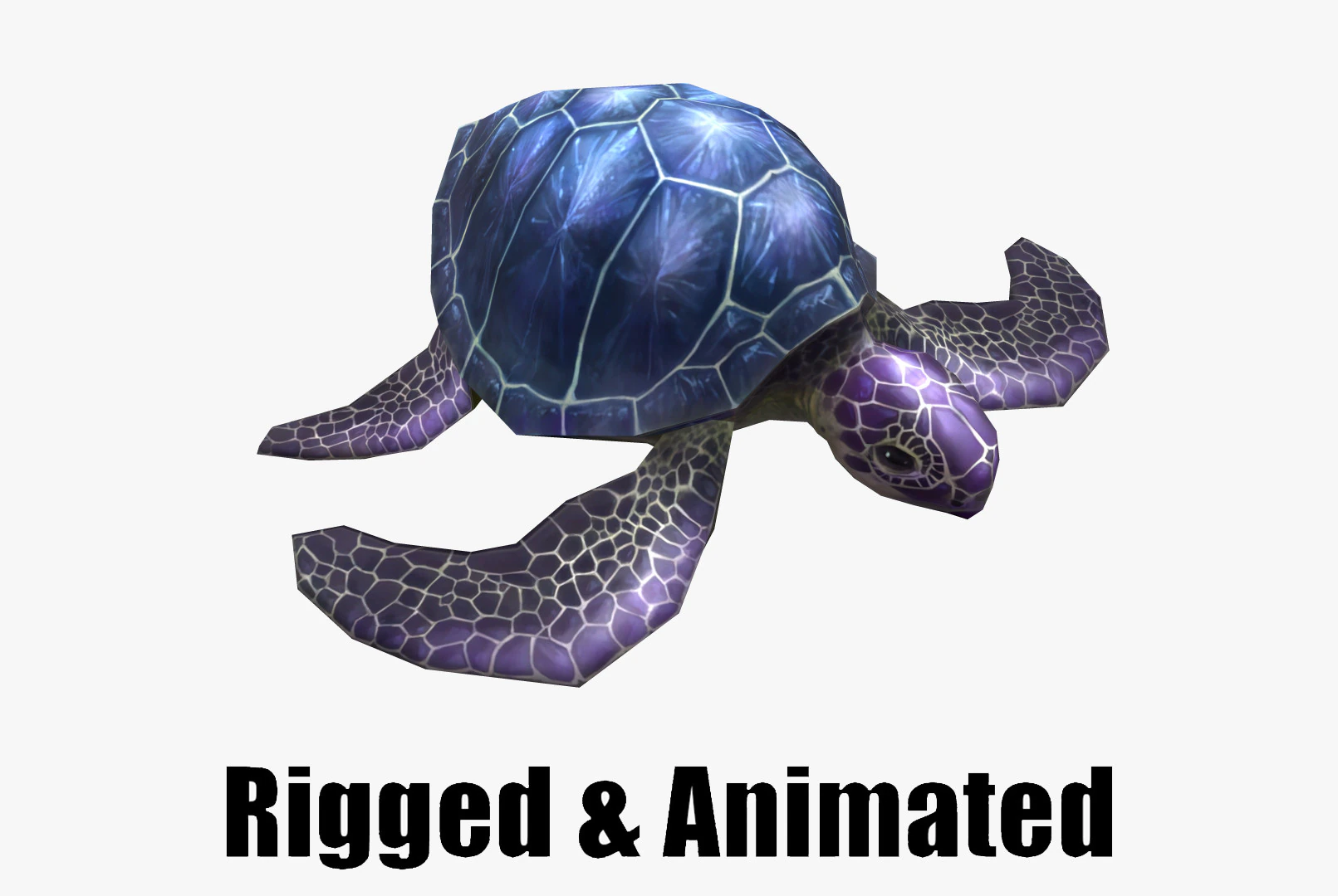 Low-poly animated turtle 3D Model .c4d .max .obj .3ds .fbx .stl .blend