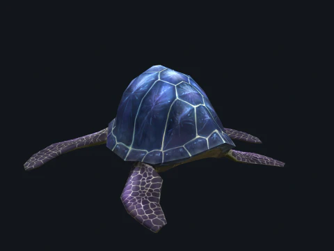 Low-poly animated turtle 3D Model