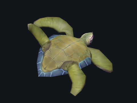 Low-poly animated turtle 3D मॉडल