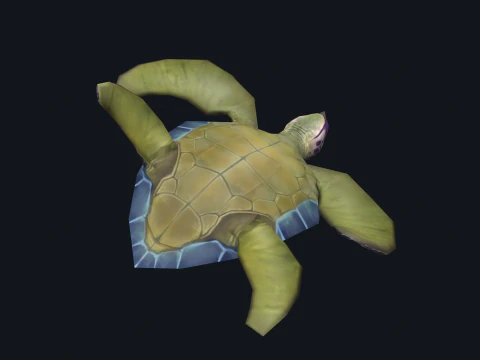 Low-poly animated turtle 3D Model