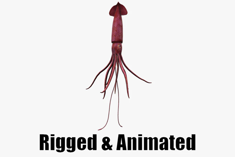 Cumi-cumi animasi Model 3D .c4d .max .obj .3ds .fbx .stl .blend 