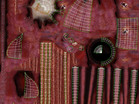 Cumi-cumi animasi Model 3D