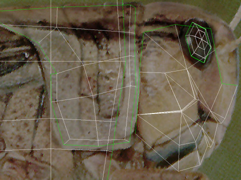 Animated Locust Grasshopper 3D Model