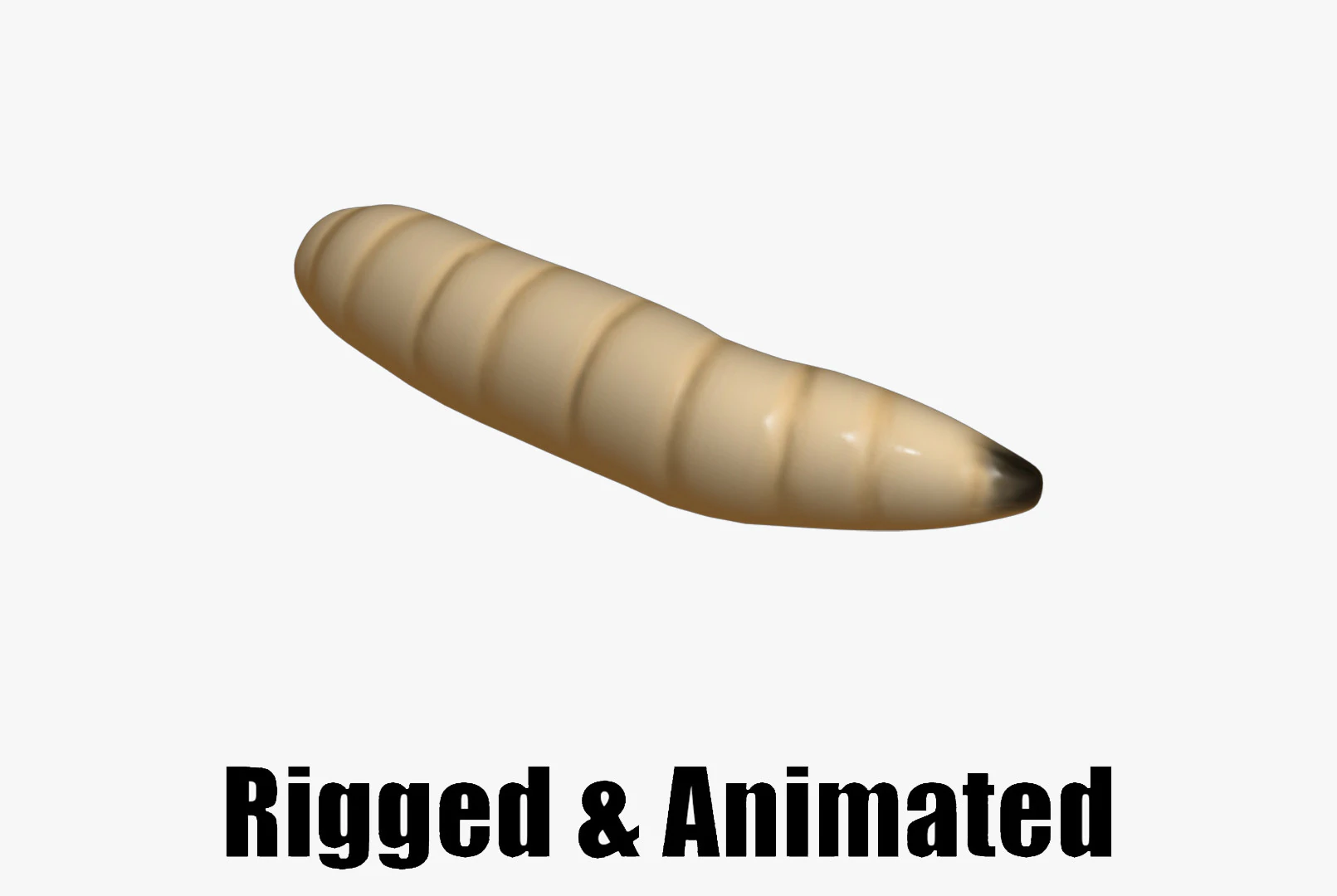 Animated maggot 3D Model .c4d .max .obj .3ds .fbx .stl .blend 