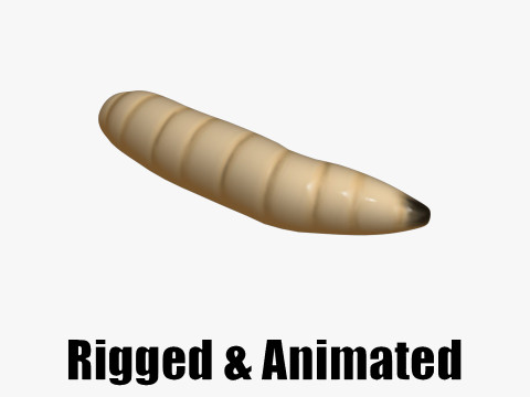 Animated maggot 3D Model