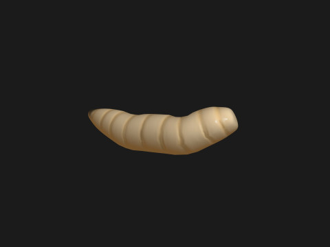 Animated maggot 3D 模型
