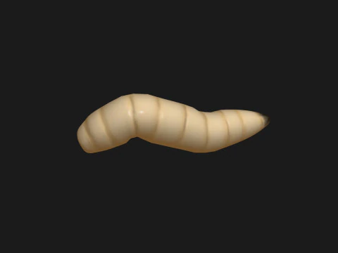 Animated maggot 3D Model