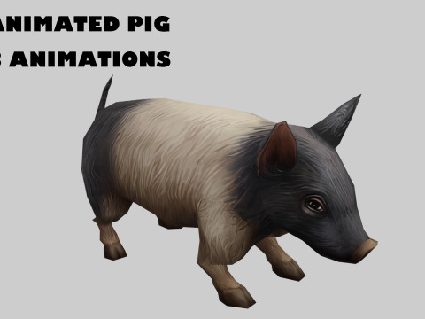 Animated pig 3D Model