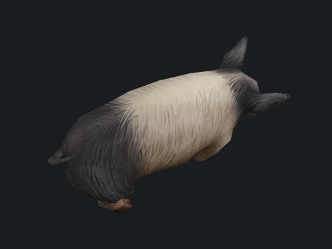 Animated pig 3D Model
