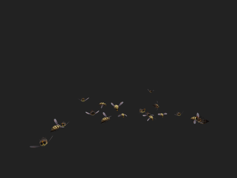 Swarm bee wasp Modelo 3D