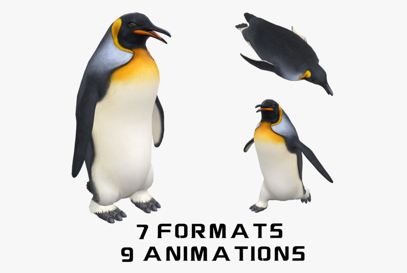 Animated penguin 3D Model .c4d .max .obj .3ds .fbx .stl .blend 